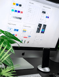 UI/UX Design