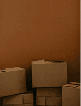 Virtual Assistant